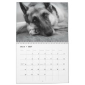 Prachtige Duitse schouderkalender Kalender (Mar 2027)