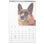 Prachtige Duitse schouderkalender Kalender (Jan 2027)