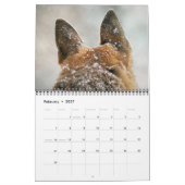 Prachtige Duitse schouderkalender Kalender (Feb 2027)