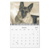 Prachtige Duitse Shepherd Dog-agenda Kalender (Jan 2027)