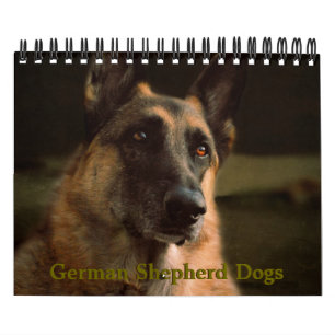 Prachtige Duitse Shepherd Dog-agenda Kalender