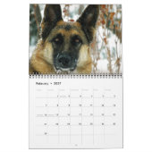 Prachtige Duitse Shepherd Dog Calendar Kalender (Feb 2027)