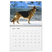 Prachtige Duitse Shepherd Dog Calendar Kalender (Mar 2026)
