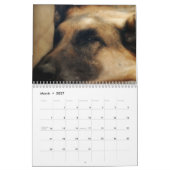 Prachtige Duitse Shepherd Dog Calendar Kalender (Mar 2027)