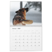 Prachtige Duitse Shepherd Dog Calendar Kalender (Jan 2027)