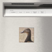 Prachtige eend possing foto magneet (Insitu (Vaatwasser))