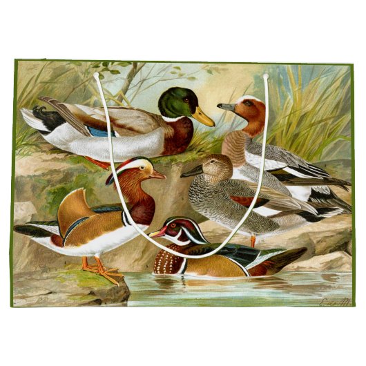 Prachtige  eenden bij het wilde Pond Groot Cadeauzakje (Achterkant)