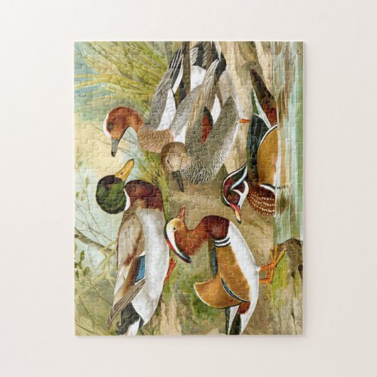 Prachtige eenden legpuzzel (Verticaal)