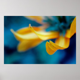 Prachtige Elegant Abstract Geel Coneflower Petal Poster