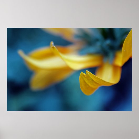 Prachtige Elegant Abstract Geel Coneflower Petal Poster (Voorkant)
