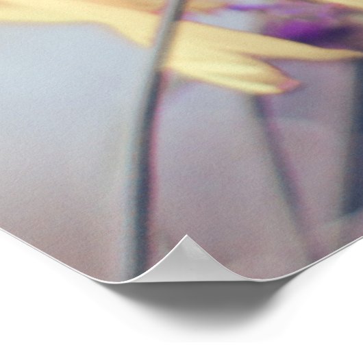 Prachtige Elegant Dreamweaver Coneflowers Lavender Poster (Hoek)