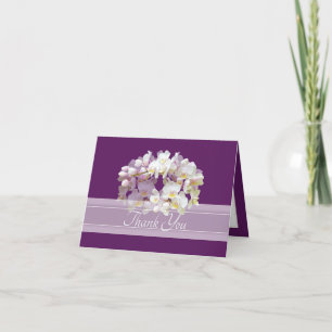 Prachtige Elegante Witte Orchidee Cluster Bedankt