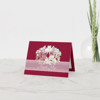 Prachtige Elegante Witte Orchidee Cluster Bedankt