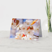 Prachtige en elegante Sakura-bloemen in Springtime