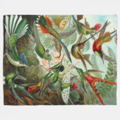 Prachtige Ernst Haeckel Hummingvogels Fleece Deken (Voorkant (Horizontaal))