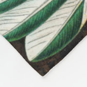 Prachtige Ernst Haeckel Hummingvogels Fleece Deken (Hoek)