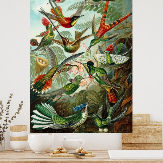 Prachtige Ernst Haeckel Hummingvogels Poster (Keuken)