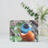 Prachtige exotische vogel uitgevoerd briefkaart (Staand voorkant)