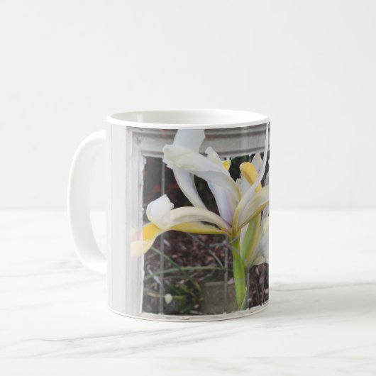 Prachtige Fancy Tulp in de elegante Mok van het ve (Voorkant links)