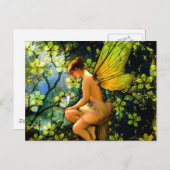 Prachtige  feiën briefkaart (Voorkant / Achterkant)