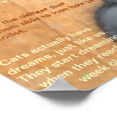 Prachtige feiten! poster (Hoek)