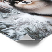 Prachtige Finse Lapphund Poster (Hoek)