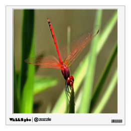 Prachtige firecracker Dragonfly Acrylverf