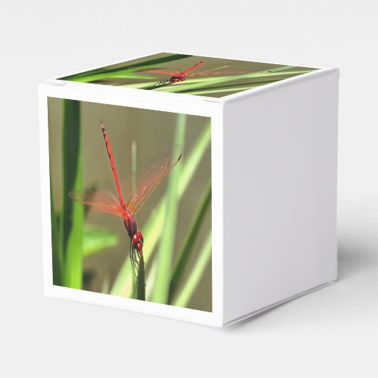 Prachtige firecracker Dragonfly Acrylverf Bedankdoosjes (Voorkant Zijde)