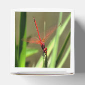 Prachtige firecracker Dragonfly Acrylverf Bedankdoosjes (Bovenkant)