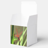 Prachtige firecracker Dragonfly Acrylverf Bedankdoosjes (Geopend)