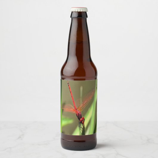 Prachtige firecracker Dragonfly Acrylverf Bier Etiket (Voorkant)