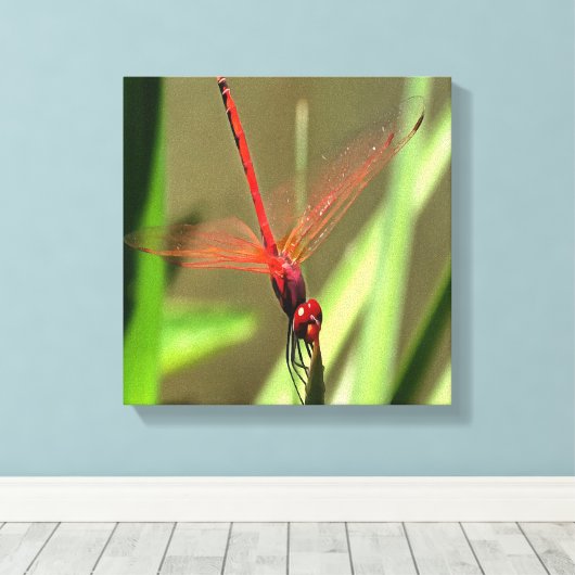 Prachtige firecracker Dragonfly Acrylverf Canvas Afdruk (Insitu (Houten vloer))