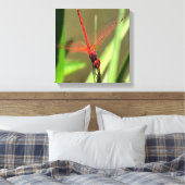Prachtige firecracker Dragonfly Acrylverf Canvas Afdruk (Insitu (Slaapkamer))