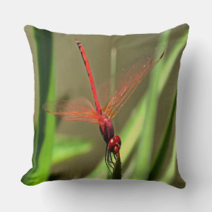 Prachtige firecracker Dragonfly Acrylverf Kussen