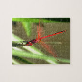 Prachtige firecracker Dragonfly Acrylverf Legpuzzel (Horizontaal)