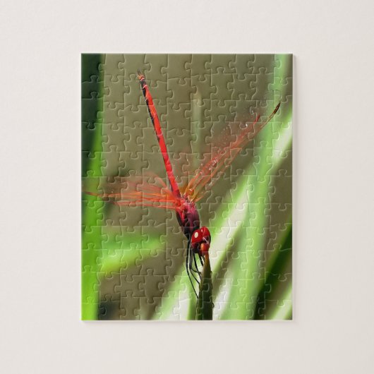 Prachtige firecracker Dragonfly Acrylverf Legpuzzel (Verticaal)