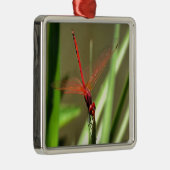 Prachtige firecracker Dragonfly Acrylverf Metalen Ornament (Rechts)