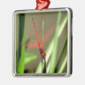 Prachtige firecracker Dragonfly Acrylverf Metalen Ornament (Links)