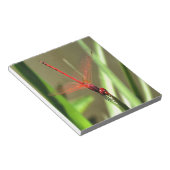 Prachtige firecracker Dragonfly Acrylverf Notitieblok (Schuin)