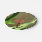 Prachtige firecracker Dragonfly Acrylverf Papieren Bordje (Gekanteld)
