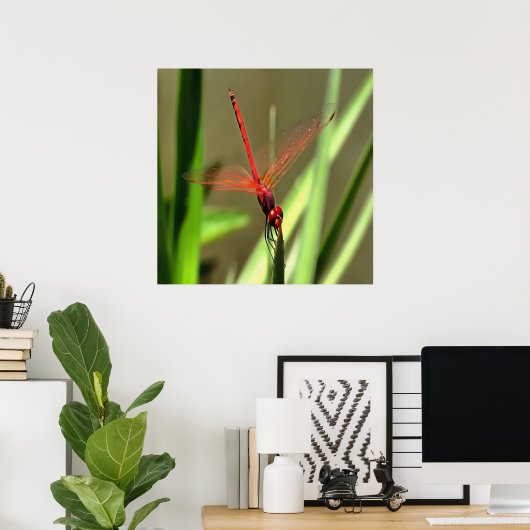 Prachtige firecracker Dragonfly Acrylverf Poster (Thuiskantoor)