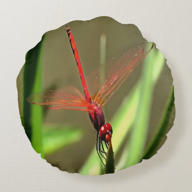 Prachtige firecracker Dragonfly Acrylverf Rond Kussen (Achterkant)