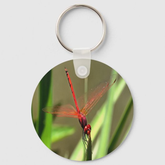 Prachtige firecracker Dragonfly Acrylverf Sleutelhanger (Voorkant)
