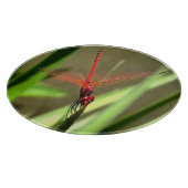 Prachtige firecracker Dragonfly Acrylverf Snijplank (Hoek)