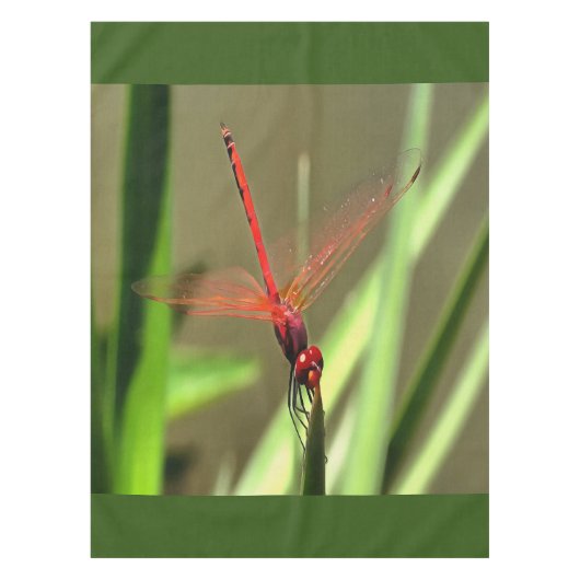 Prachtige firecracker Dragonfly Acrylverf Tafelkleed (Voorkant)