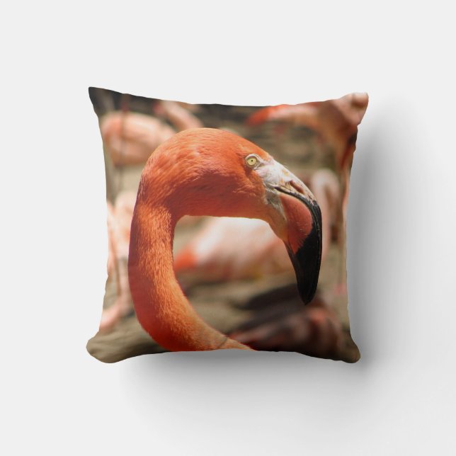 Prachtige Flamingo Kussen! Kussen (Voorkant)