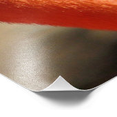 Prachtige Flamingo Print/Poster! Foto Afdruk (Hoek)