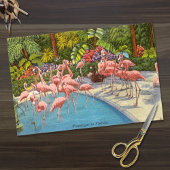 Prachtige  Flamingo's in Florida Tissuepapier