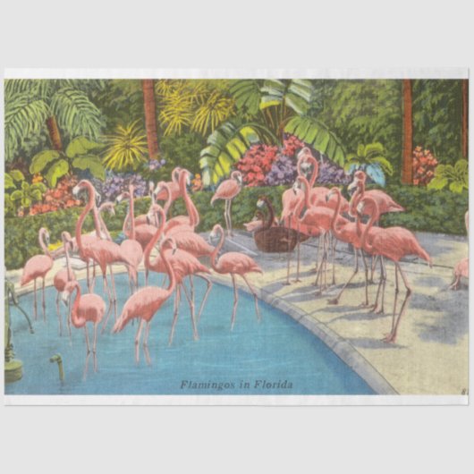 Prachtige  Flamingo's in Florida Tissuepapier (Voorkant)