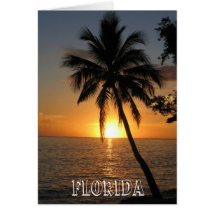 Prachtige Florida